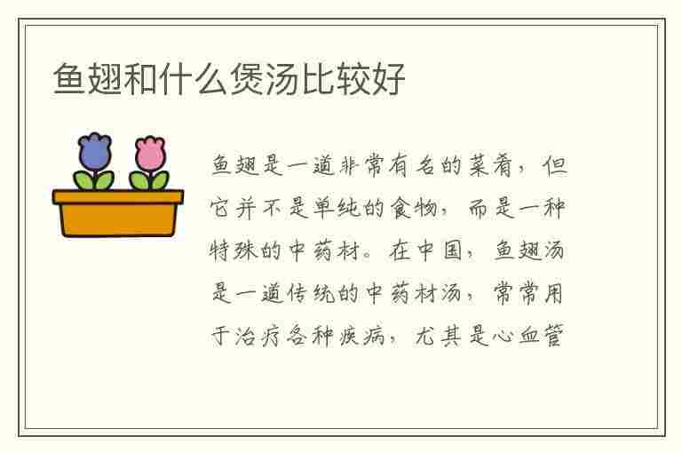 鱼翅和什么煲汤比较好(鱼翅和什么煲汤比较好喝)